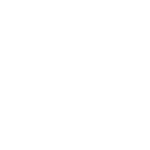 Palm-Tree-Removal png
