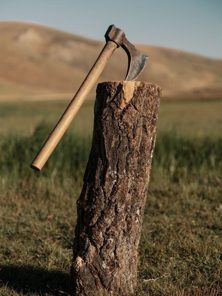 tree removal hatchet